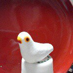 11055940_364538967067658_739577029_a