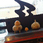 11085113_890230554371538_234163598_a