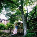 10611185_256100531180216_1039671549_a