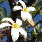 Profile_401114912_75sq_1393291837