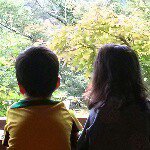 11007861_1588947564674817_1046728829_a