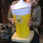 10838412_686821821438052_124912665_a