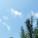 11311517_1611448589102789_2145370893_a