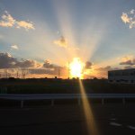 10731746_1531330110445447_389355019_a