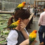 928874_1435474190100289_1864382856_a