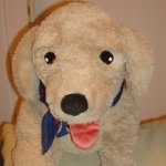 10261178_1421615408108536_1415163646_a