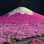 10755732_739146329488818_1618287478_a