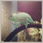 10448925_239182159626224_686326862_a