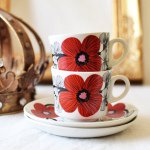 11049421_1578726269078962_1722246134_a