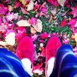 10895465_646651028774970_1878256221_a