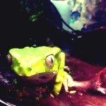 Profile_29850159_75sq_1381917439