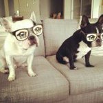 Profile_243042462_75sq_1351299804