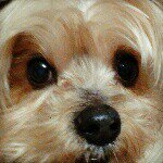 Profile_372637269_75sq_1369405706