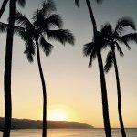 10898988_358294184351393_1386689168_a