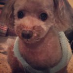 914507_422157684576151_1194928836_a