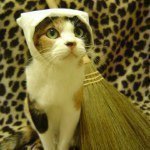 Profile_299122674_75sq_1363003985