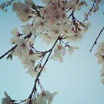 Profile_433795791_75sq_1398381039