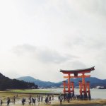 11032928_417662021742542_843000435_a