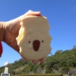 10362091_535239053248125_326303664_a