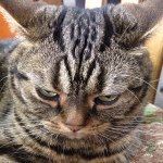 10584691_1448047472128796_1211533174_a