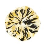 Profile_1463337_75sq_1294919572