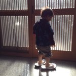 10537732_906025109430208_1606322799_a