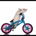 Profile_211114262_75sq_1345531983