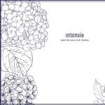 10890691_591554890945684_612365919_a