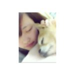 11325158_815638358514192_99528094_a