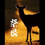 1971445_888964241156283_438086134_a