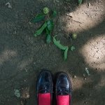 10549797_275965189277558_279571154_a