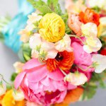 11372315_423740914463750_338708301_a