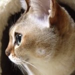 10467946_290251231154979_481398966_a