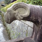 10844248_1426288527661460_441514877_a