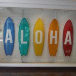 11243871_725255074250308_956424193_a