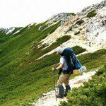 10507856_684075355002058_1025439223_a