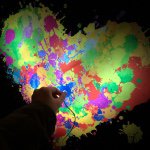 11084979_1067918376556069_1476470482_a