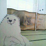 Profile_509780712_75sq_1376619324