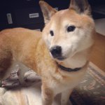 Profile_214463305_75sq_1350519999