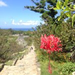 10831969_484928611645334_637842760_a