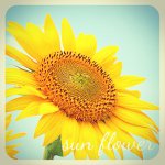 Profile_248901691_75sq_1378556417