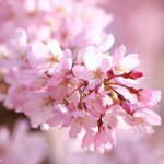 11137772_600584666743617_1692805319_a