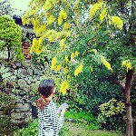 11055464_789679301110393_1665189210_a