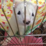 Profile_460262332_75sq_1373503920