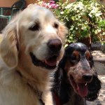 Profile_318156059_75sq_1371017303