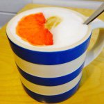 11191174_1577066225906387_849819302_a