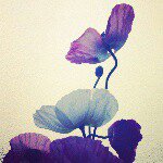 10932431_946106232066900_1925486400_a