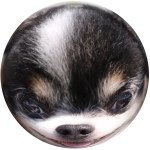 10598322_345142188982984_1165179550_a