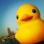 Profile_356799354_75sq_1384995497