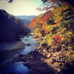 10735263_730106467045054_1805517191_a